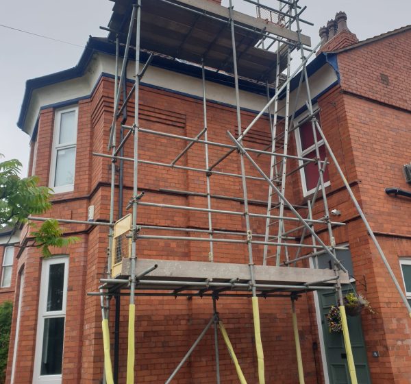 WhatsApp Image 2025-07-30 at 12.46.02